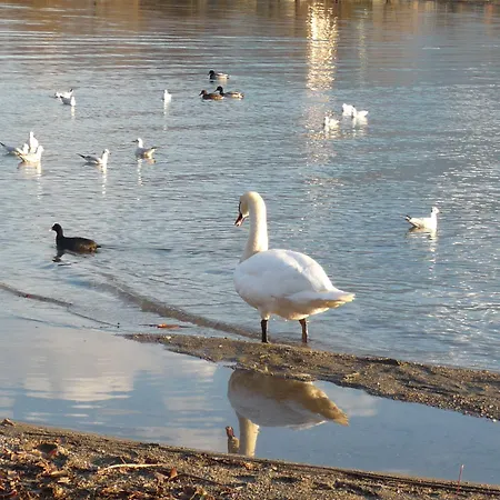 Camping Hotel Au Lac De Como Sorico